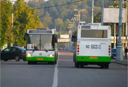 Водители общественного транспорта в Тольятти уже рвутся на лесную дорогу