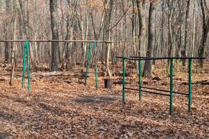 В Тольятти собрались благоустраивать лес