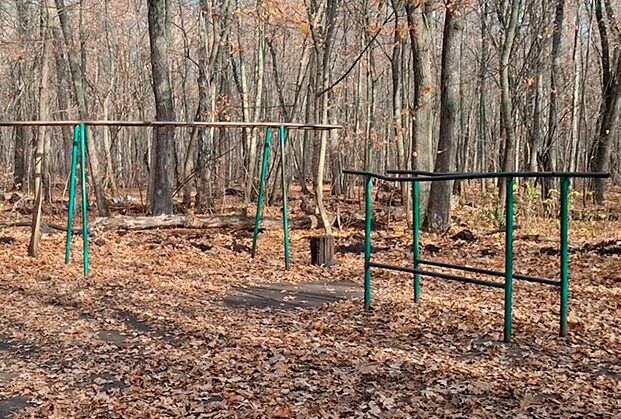 В Тольятти собрались благоустраивать лес