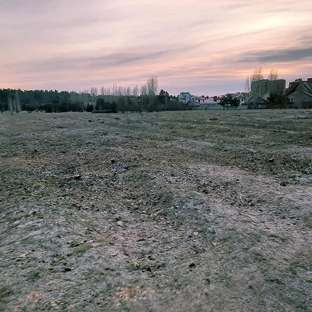 Построят ли коттеджи на месте дендропарка в Тольятти?