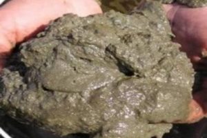 Около Узюково прокуратура выявила загрязнение почвы