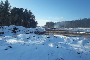 Строители Климовского моста вырубили около 50 га леса в селе Ягодное