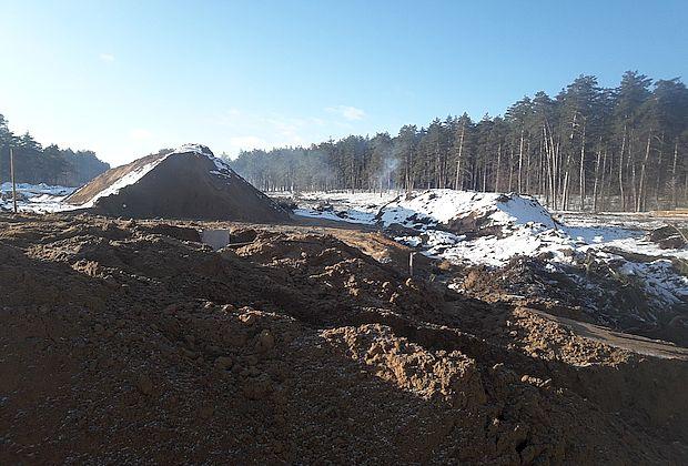 Строители Климовского моста вырубили около 50 га леса в селе Ягодное