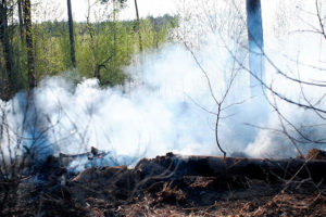 В Тольятти опять сильный лесной пожар