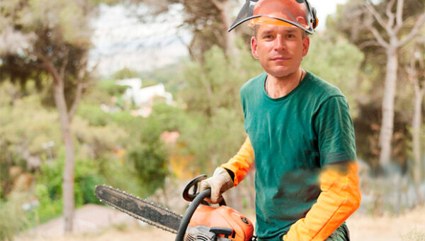 Почему Сухих хочет вырубить тольяттинский лес?