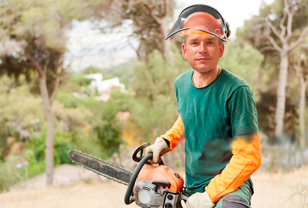 Почему Сухих хочет вырубить тольяттинский лес?