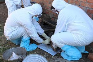 Прокуратура нашла под Самарой бесхозный могильник с сибирской язвой