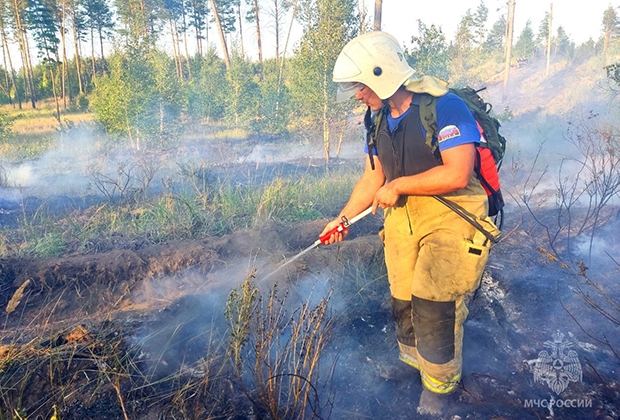 Пожарные ликвидировали очередной лесной пожар в Тольятти