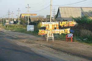 Губернатор дал указание превратить Переволоки в туристический центр