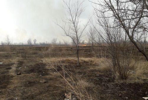 Московский проспект заволокло дымом из-за сильного пожара в поле
