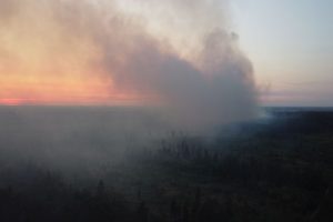 Лесной пожар вновь разгорелся в Тольятти