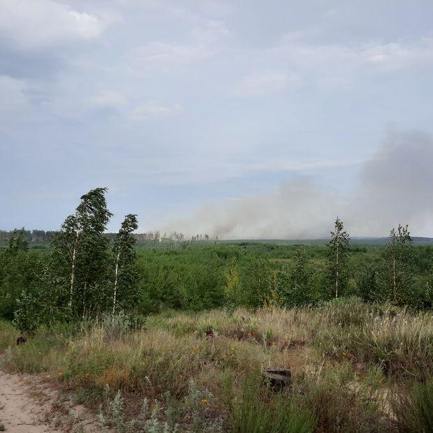 В Тольятти разгорелся самый сильный лесной пожар за последние десять лет