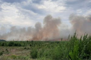 В Тольятти разгорелся самый сильный лесной пожар за последние десять лет