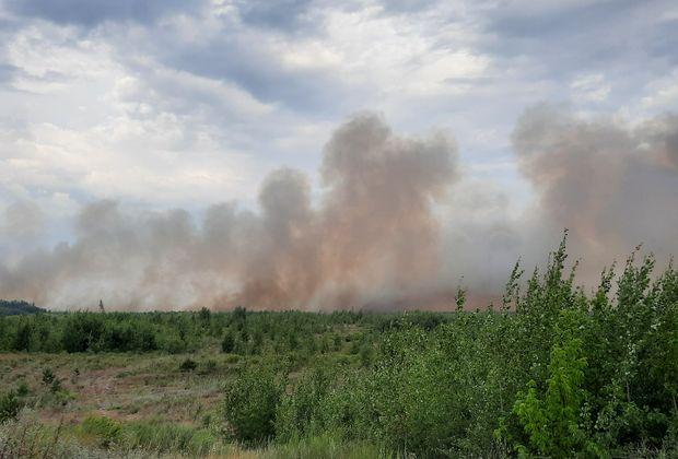 В Тольятти разгорелся самый сильный лесной пожар за последние десять лет