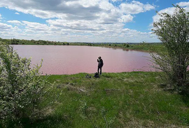 Розовые озера: как доехать?