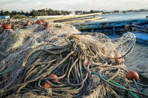 Полицейские задержали женщину-браконьера