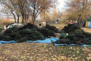 Полицейские задержали банду супербраконьеров: рыбу ловили тоннами