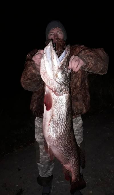 Рыбак из Тольятти поймал рыбу-гиганта