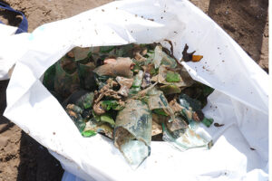 Волонтеры несколько дней убирали мусор на Муравьиных островах