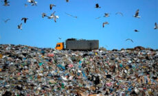 Правительство намерено построить мусорный полигон под Тольятти