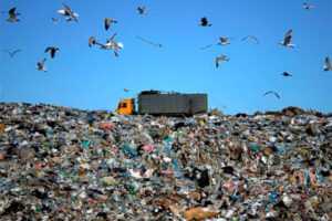 Правительство намерено построить мусорный полигон под Тольятти