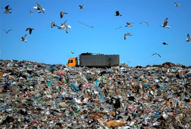 Правительство намерено построить мусорный полигон под Тольятти