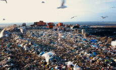 Почему чиновники скрывают информацию о КПО “Тольятти” 