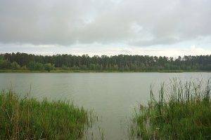 Васильевские озера обследуют для определения их статуса