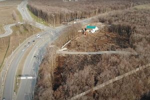 В Самаре вырубают лес под строительство здания ГАИ