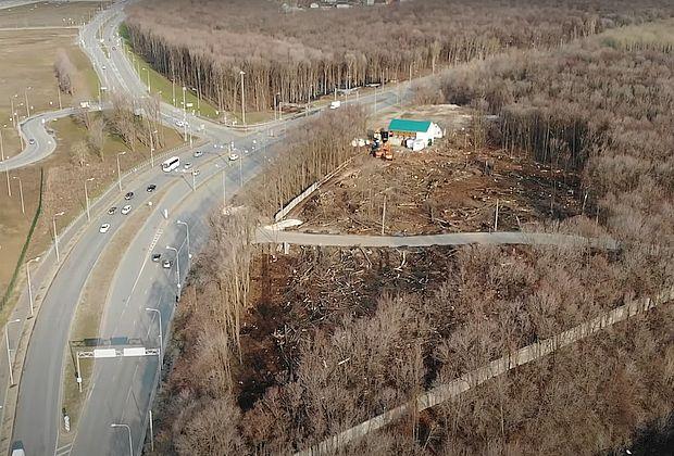 В Самаре вырубают лес под строительство здания ГАИ