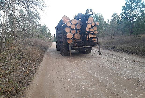 Начата проверка возможных нарушений при вырубке тольяттинского леса