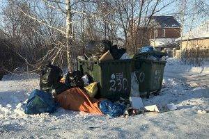 Регоператор пообещал поддержать «поведерный» вывоз мусора в Ставропольском районе